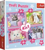 4 in 1 Puzzle 35, 48, 54, 70 Teile - Katzen