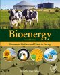 Bioenergy (eBook, ePUB) - Bild 1