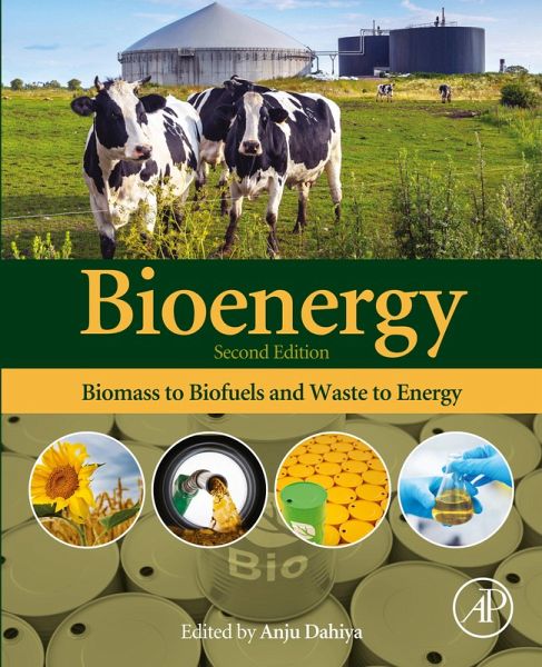 Bioenergy (eBook, ePUB)
