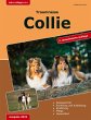 Traumrasse: Collie - Bild 1