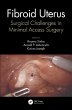 Fibroid Uterus (eBook, ePUB) - Bild 1