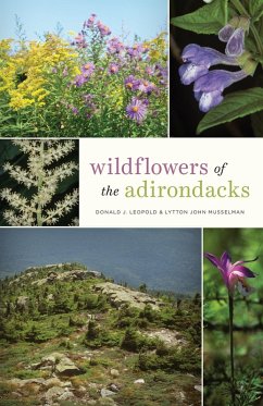 Cover Wildflowers of the Adirondacks (eBook, ePUB)