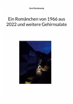 Ein Romänchen von 1966 aus 2022 und weitere Gehirnsalate (eBook, ePUB) - Steinkoenig, Gerd