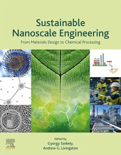 Sustainable Nanoscale Engineering (eBook, ePUB)