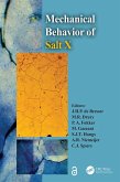 The Mechanical Behavior of Salt X (eBook, ePUB)
