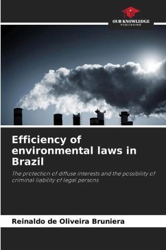 Efficiency of environmental laws in Brazil - de Oliveira Bruniera, Reinaldo