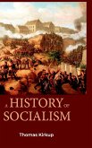 A HISTORY OF SOCIALISM