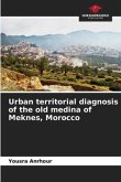 Urban territorial diagnosis of the old medina of Meknes, Morocco