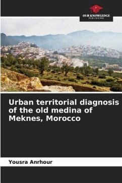Urban territorial diagnosis of the old medina of Meknes, Morocco - Anrhour, Yousra