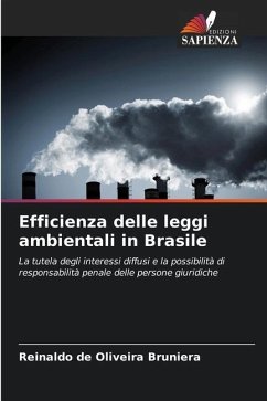 Efficienza delle leggi ambientali in Brasile - de Oliveira Bruniera, Reinaldo