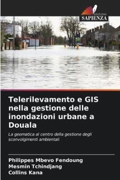 Telerilevamento e GIS nella gestione delle inondazioni urbane a Douala - Mbevo Fendoung, Philippes;Tchindjang, Mesmin;Kana, Collins