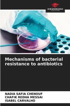 Mechanisms of bacterial resistance to antibiotics - Chenouf, Nadia Safia;Messai, Chafik Redha;CARVALHO, ISABEL