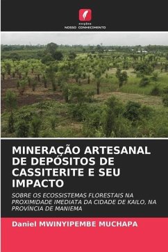 MINERAÇÃO ARTESANAL DE DEPÓSITOS DE CASSITERITE E SEU IMPACTO - MWINYIPEMBE MUCHAPA, Daniel