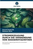 STROMERZEUGUNG DURCH DIE VERWENDUNG VON WASSERHYAZINTHEN