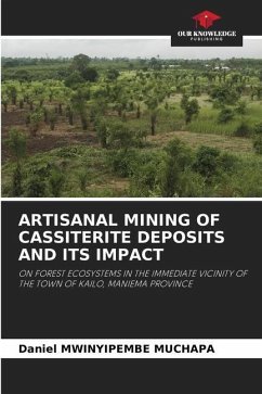 ARTISANAL MINING OF CASSITERITE DEPOSITS AND ITS IMPACT - MWINYIPEMBE MUCHAPA, Daniel