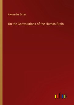 On the Convolutions of the Human Brain - Ecker, Alexander