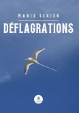 Déflagrations (eBook, ePUB)