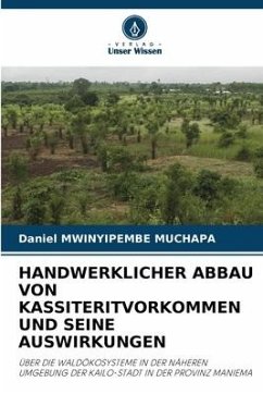 HANDWERKLICHER ABBAU VON KASSITERITVORKOMMEN UND SEINE AUSWIRKUNGEN - MWINYIPEMBE MUCHAPA, Daniel