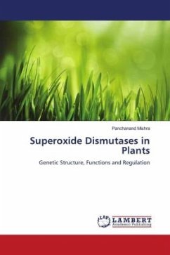 Superoxide Dismutases in Plants
