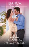 El marido desconocido (eBook, ePUB)