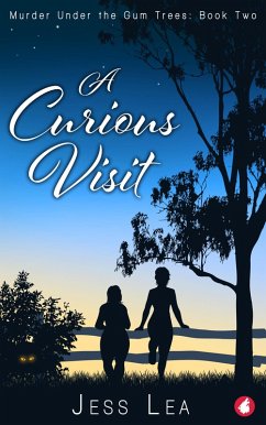 Cover A Curious Visit (eBook, ePUB)