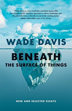 Beneath the Surface of Things (eBook, ePUB) - Davis, Wade