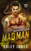 Mad Man (Necessary Evils, #5) (eBook, ePUB)