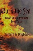 Burn the Sea (eBook, ePUB)