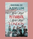 Asylum (eBook, ePUB)
