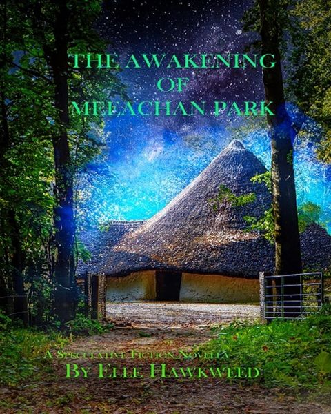 The Awakening of Meeachan Park (eBook, ePUB)