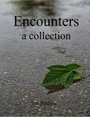 Encounters: A Collection (eBook, ePUB)