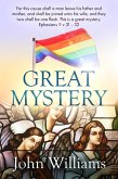 Great Mystery (eBook, ePUB)