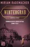 Wintergrab (eBook, ePUB)