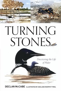 Turning Stones - McCabe, Declan