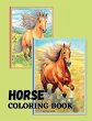 Horse Coloring Book - Bild 1