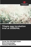 Tilapia egg incubation trial at SODEPAL