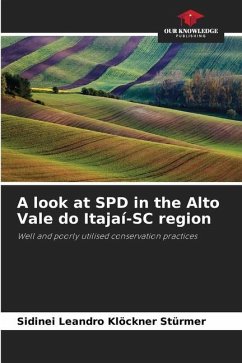 A look at SPD in the Alto Vale do Itajaí-SC region - Stürmer, Sidinei Leandro Klöckner