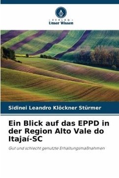 Ein Blick auf das EPPD in der Region Alto Vale do Itajaí-SC - Stürmer, Sidinei Leandro Klöckner