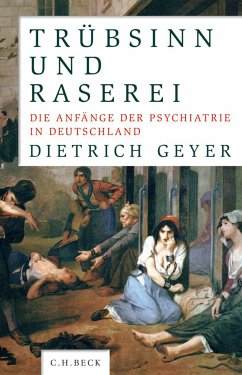Trübsinn und Raserei (eBook, PDF) - Geyer, Dietrich
