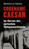 Codename Caesar (eBook, PDF)