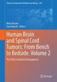Human Brain and Spinal Cord Tumors: From Bench to Bedside. Volume 2 (eBook, PDF)