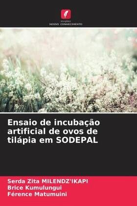 Ensaio de incubação artificial de ovos de tilápia em SODEPAL Ensaio de incubação artificial de ovos de tilápia em SODEPAL