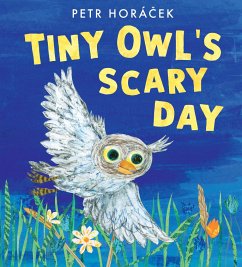 Tiny Owl's Scary Day - Horacek, Petr