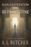 Das Geheimnis von Blossom Rise (eBook, ePUB)