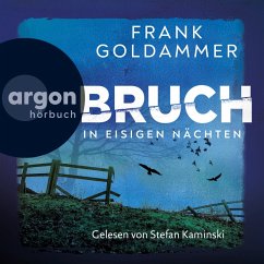 Bruch - In eisigen Nächten (MP3-Download) - Goldammer, Frank