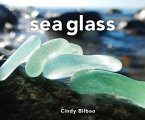 Sea Glass (Revised and Updated) (eBook, ePUB)