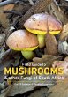 Field Guide to Mushrooms & Other Fungi... - Bild 1