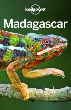 Lonely Planet Madagascar (eBook, ePUB)