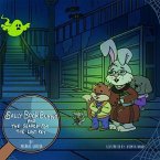 Sally Book Bunny and the Search for the Lost Key (eBook, ePUB)