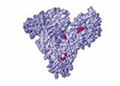 Cover Estimation of Serum Albumin (eBook, ePUB)